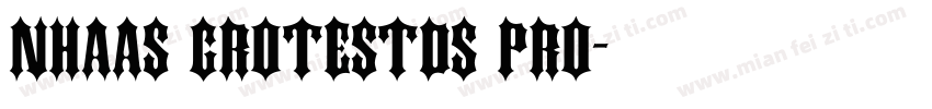 Nhaas GrotestDs pro字体转换